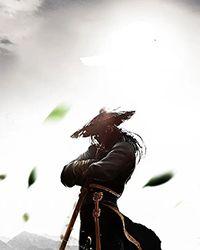 重生之王妃上位